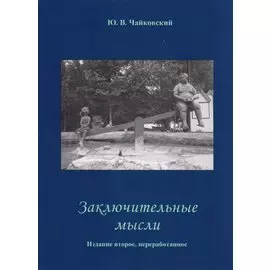 Заключительные мысли