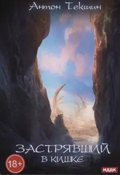 Застрявший. Книга 3. Застрявший в Кишке