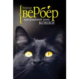 Завтрашний день кошки