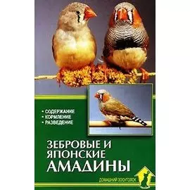 Зебровые и японские амадины. Содержание. Кормление. Разведение