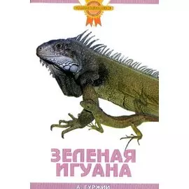 Зеленая игуана