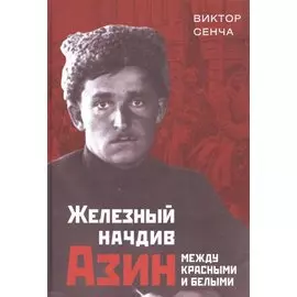 Железный начдив Азин. Между красными и белыми