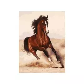 Живопись на холсте 30*40 см. Галоп (107-AS)