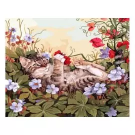 Живопись на холсте 30*40 см. Кошкины забавы (103-AS)