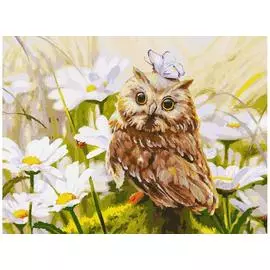 Живопись на холсте 30*40 см. Сова Везучка (016-AS)