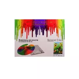 Живопись на холсте по номерам "Цветочная поляна", 30х40 см