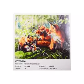 Живопись на холсте по номерам "Кутерьма", 40 х 50 см