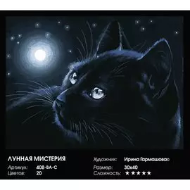 Живопись на холсте по номерам "Лунная мистерия", 30 х 40 см