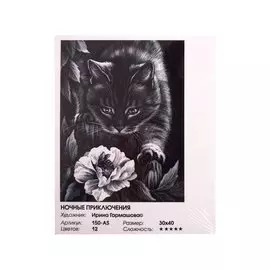 Живопись на холсте по номерам "Ночные приключения", 30х40 см