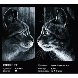 Живопись на холсте по номерам "Отражение", 30 х 40 см