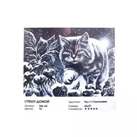 Живопись на холсте по номерам "Спешу домой", 30 х 40 см