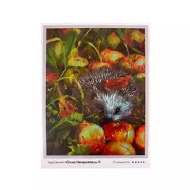 Живопись на картоне по номерам "Яблочный ежик"