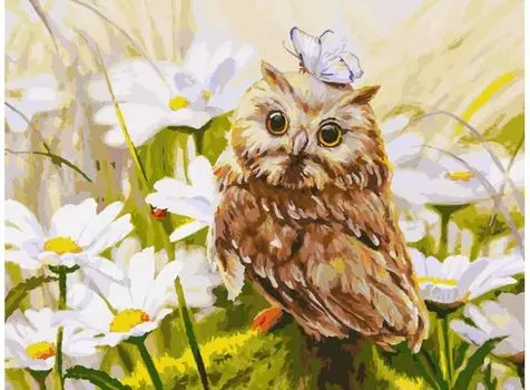 Живопись на картоне. Сова Везучка