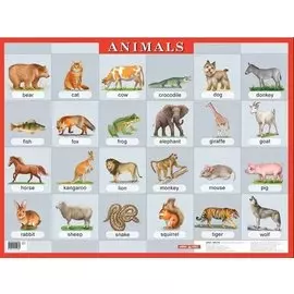 Животные. Animals. Наглядное пособие по английскому языку