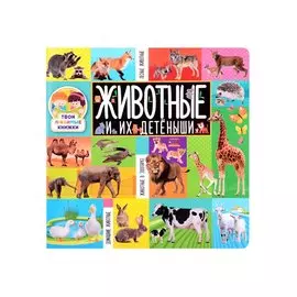 Животные и их детёныши