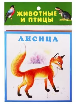Животные и птицы. Карточки