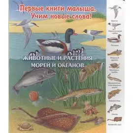 Животные и растения морей и океанов (ПерКнМалУчНовСл) (картон) Комарова