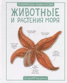 Животные и растения моря