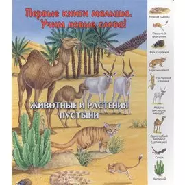 Животные и растения пустыни (ПерКнМалУчНовСл) (картон) Комарова