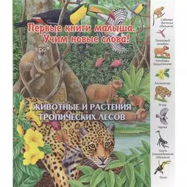 Животные и растения тропических лесов (ПерКнМалУчНовСл) (картон) Комарова