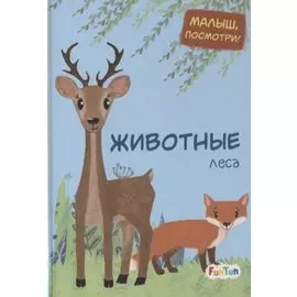 Животные леса