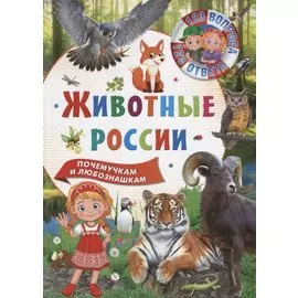 123 вопроса – 123 ответа. Животные России