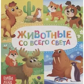 Животные со всего света