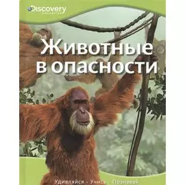 Животные в опасности Discovery Education