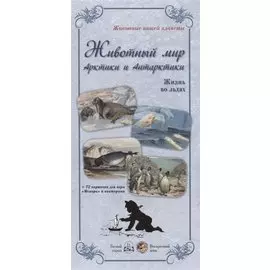 Животный мир Арктики и Антарктики (+72 карточки для игры "Мемори" и викторины)