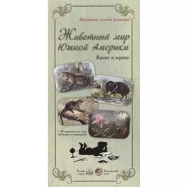 Животный мир Южной Америки. Яркие и юркие