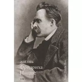 Жизнь Фридриха Ницше. Том 3