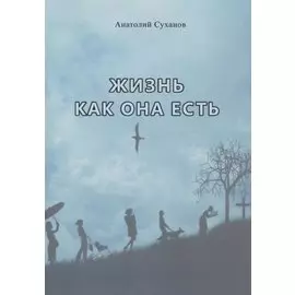Жизнь как она есть