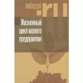 Жизненный цикл малого предприятия