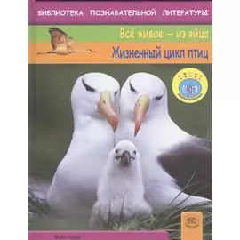 Жизненный цикл птиц