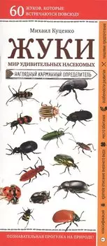 Жуки. Мир удивительных насекомых