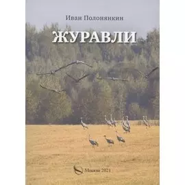 Журавли. Приключенческий роман