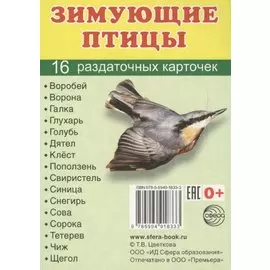 Зимующие птицы. 16 раздаточных карточек с текстом на русском и английском языках