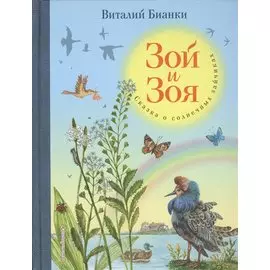 Зой и Зоя. Сказки о солнечных зайчиках