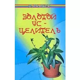 Золотой ус-целитель