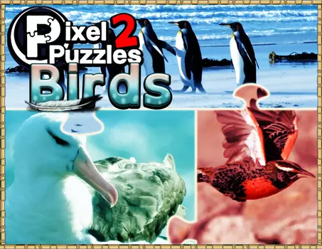 Pixel Puzzles 2 : Birds (PC)