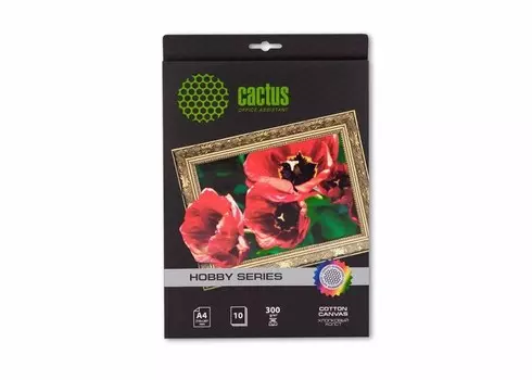 Холст Cactus CS-СA426010 A4, 300г/м2, 10л, для струйной печати