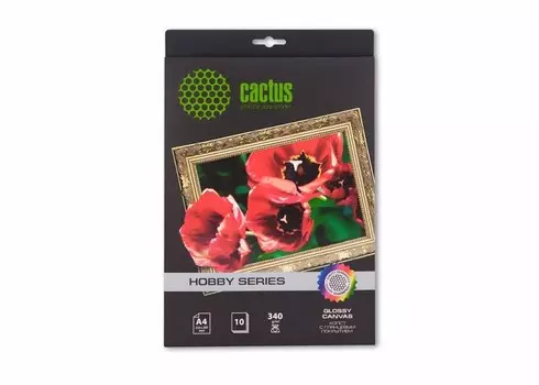 Холст Cactus CS-СGA426010 A4, 340г/м2, 10л, глянцевый хлопок для струйной печати