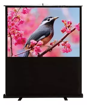 Экран Cactus FloorCompactExpert CS-PSFLCE-120X90 58" 4:3 напольный рулонный