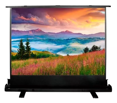 Экран Cactus FloorExpert CS-PSFLE-120X68 53" 16:9 напольный рулонный