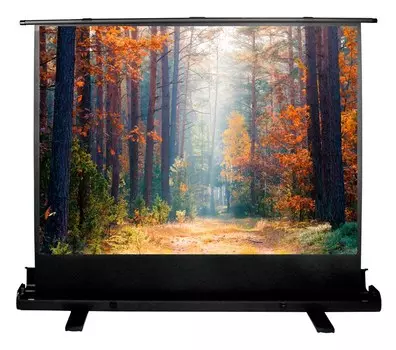 Экран Cactus FloorExpert CS-PSFLE-180X135 89" 4:3 напольный рулонный