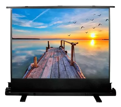 Экран Cactus FloorExpert CS-PSFLE-200X113 91" 16:9 напольный рулонный