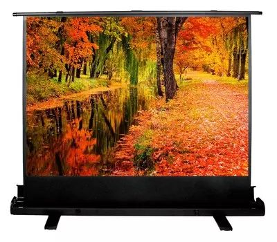 Экран Cactus FloorExpert CS-PSFLE-200X150 99" 4:3 напольный рулонный
