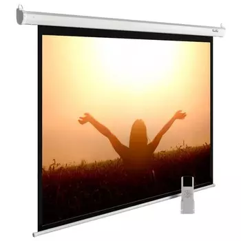 Экран Cactus MotoExpert CS-PSME-220X165-WT 110" 4:3 настенно-потолочный рулонный белый (моторизованный привод)
