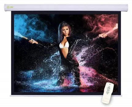 Экран Cactus Motoscreen CS-PSM-104x186 84" 16:9 настенно-потолочный рулонный (моторизованный привод)