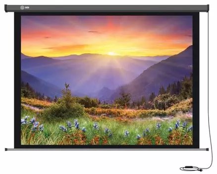 Экран Cactus Professional Motoscreen CS-PSPM-149x265 120" 16:9 настенно-потолочный рулонный (моторизованный привод)